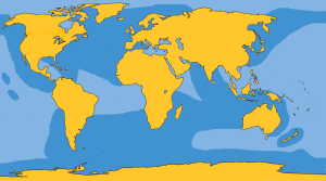 Killer Whale Distribution Map